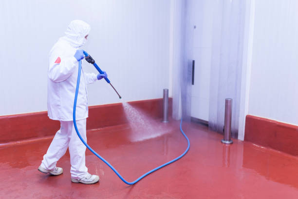 Trusted Wamac, IL Pressure Washing Services Experts